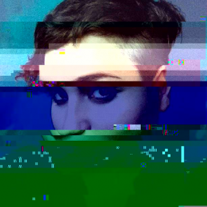 georg-fischer-glitch-experiment