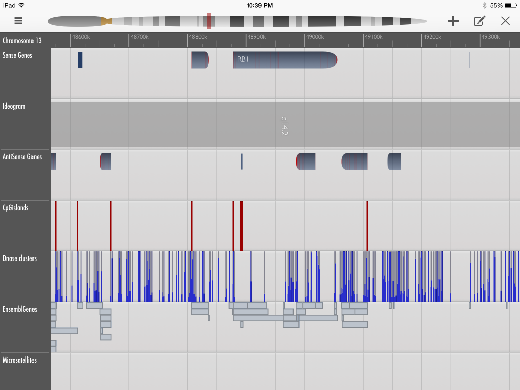GeneWall genome browser on iPad